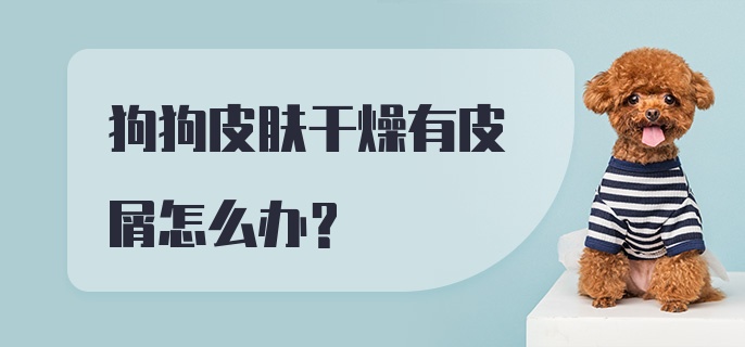 狗狗皮肤干燥有皮屑怎么办？