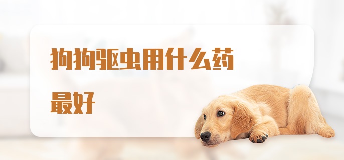 狗狗驱虫用什么药最好