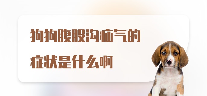 狗狗腹股沟疝气的症状是什么啊