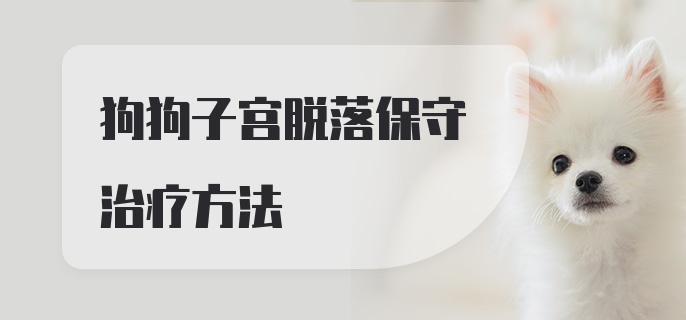 狗狗子宫脱落保守治疗方法