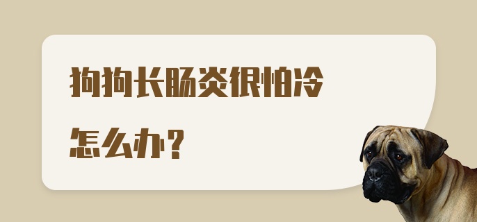 狗狗长肠炎很怕冷怎么办？