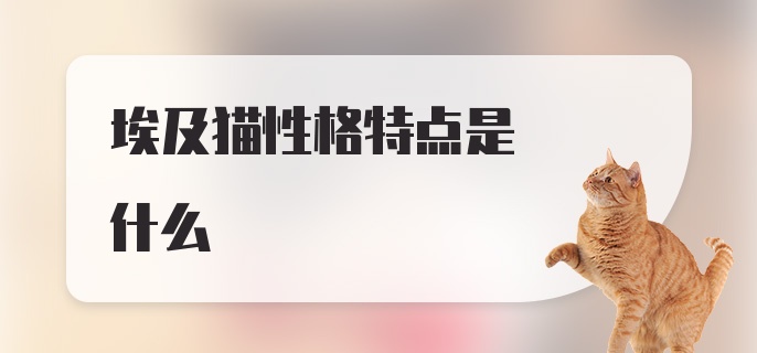 埃及猫性格特点是什么