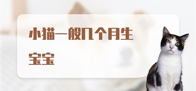 小猫一般几个月生宝宝