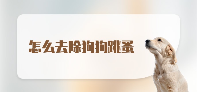 怎么去除狗狗跳蚤