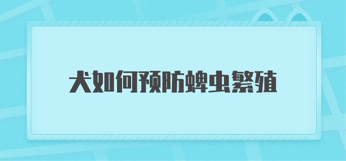 犬如何预防蜱虫繁殖