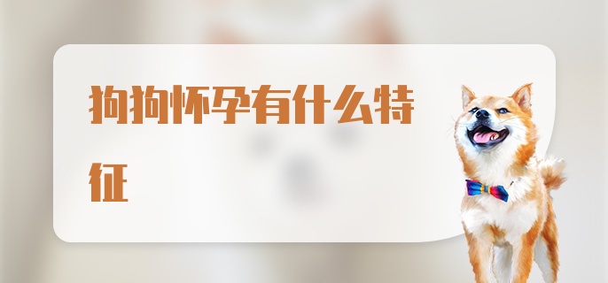 狗狗怀孕有什么特征