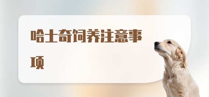 哈士奇饲养注意事项