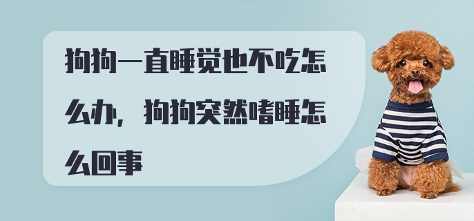 狗狗一直睡觉也不吃怎么办，狗狗突然嗜睡怎么回事