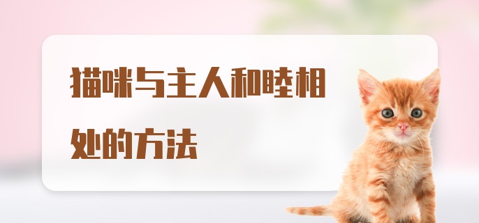 猫咪与主人和睦相处的方法