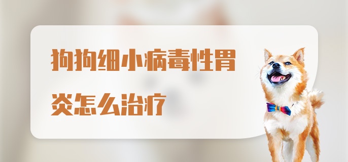 狗狗细小病毒性胃炎怎么治疗