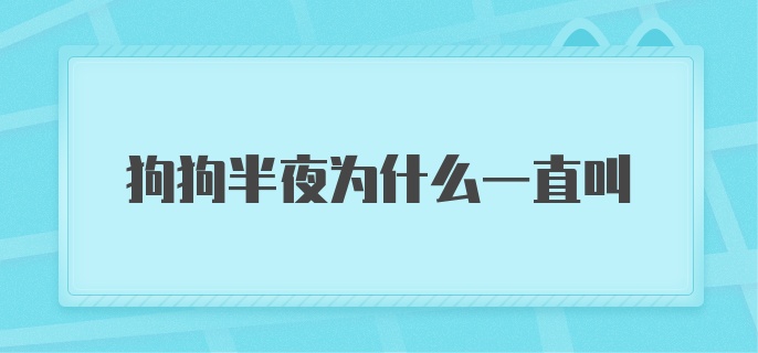 狗狗半夜为什么一直叫