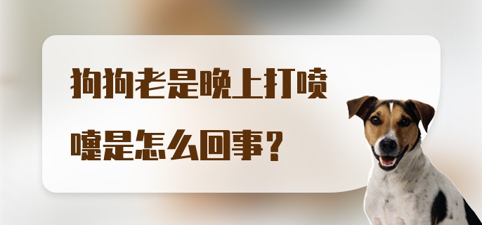 狗狗老是晚上打喷嚏是怎么回事？