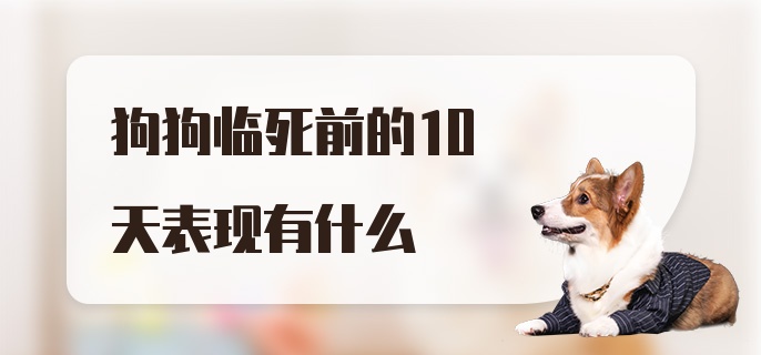 狗狗临死前的10天表现有什么