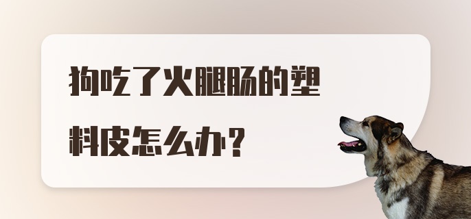 狗吃了火腿肠的塑料皮怎么办?