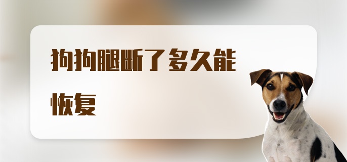 狗狗腿断了多久能恢复