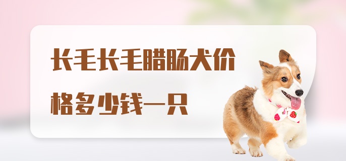 长毛长毛腊肠犬价格多少钱一只