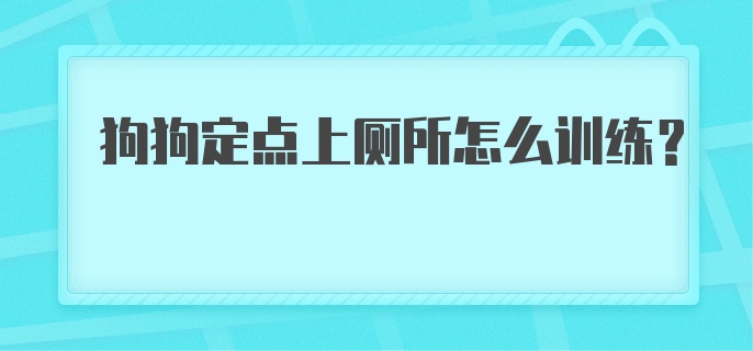 狗狗定点上厕所怎么训练？