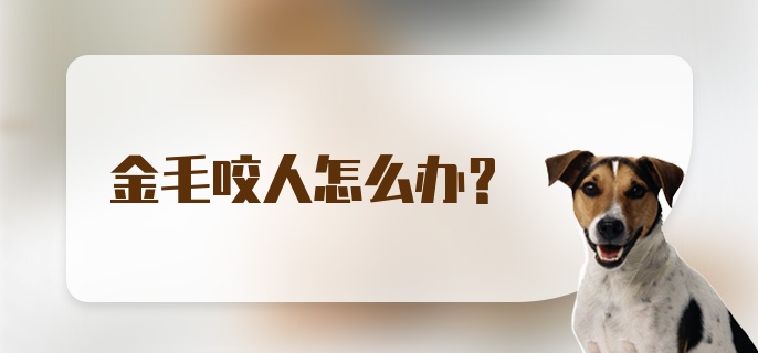 金毛咬人怎么办?