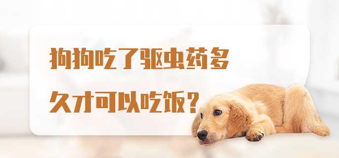 狗狗吃了驱虫药多久才可以吃饭?