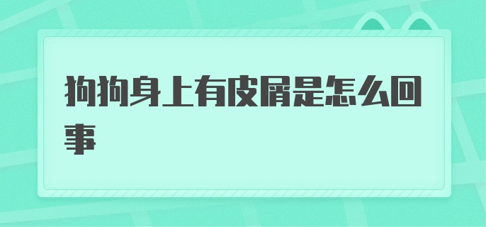 狗狗身上有皮屑是怎么回事