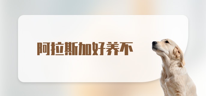 阿拉斯加好养不