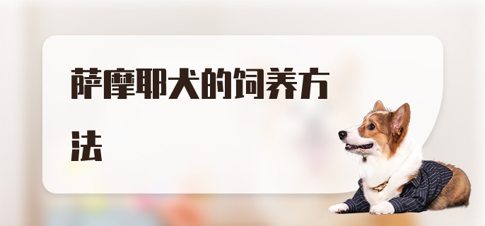 萨摩耶犬的饲养方法