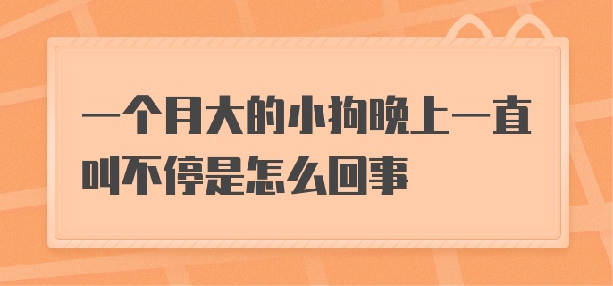 一个月大的小狗晚上一直叫不停是怎么回事