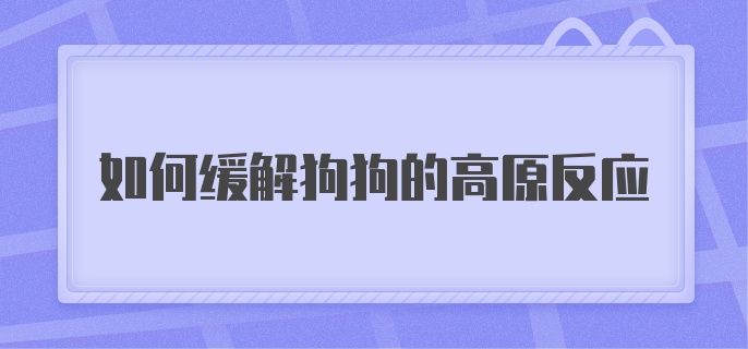 如何缓解狗狗的高原反应