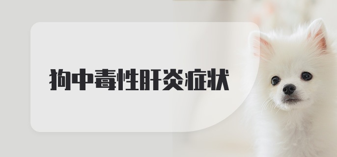 狗中毒性肝炎症状