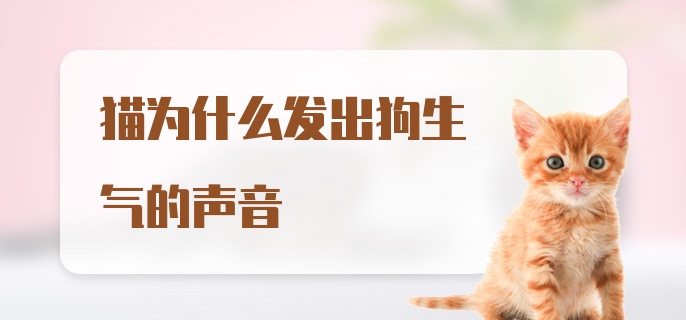 猫为什么发出狗生气的声音