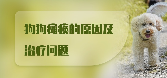 狗狗瘫痪的原因及治疗问题