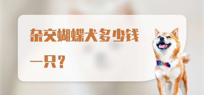 杂交蝴蝶犬多少钱一只？