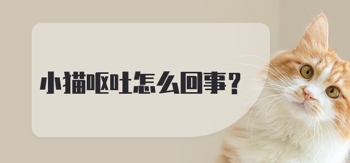 小猫呕吐怎么回事？