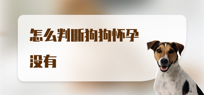 怎么判断狗狗怀孕没有