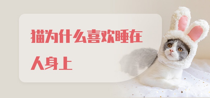 猫为什么喜欢睡在人身上