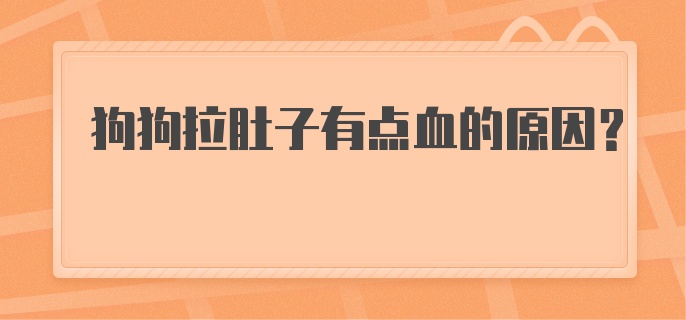 狗狗拉肚子有点血的原因？