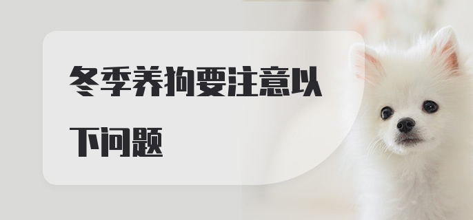 冬季养狗要注意以下问题