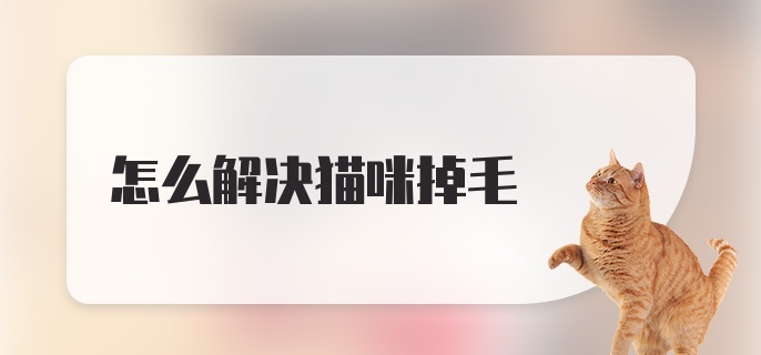 怎么解决猫咪掉毛