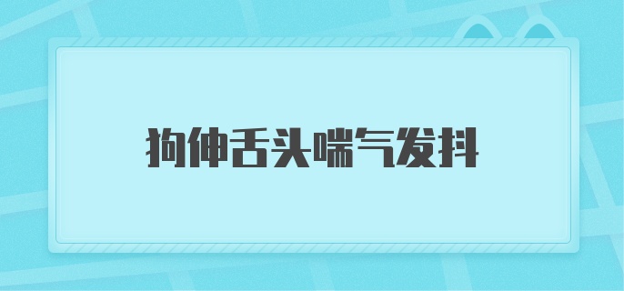 狗伸舌头喘气发抖