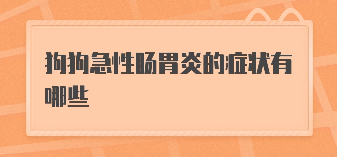 狗狗急性肠胃炎的症状有哪些