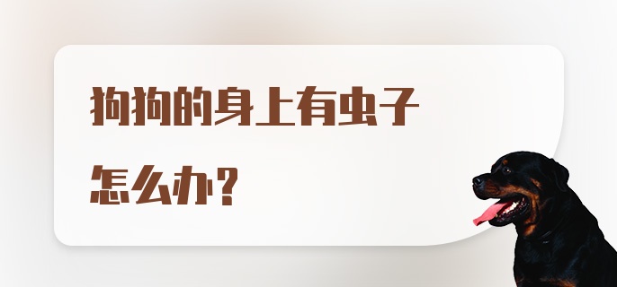 狗狗的身上有虫子怎么办？