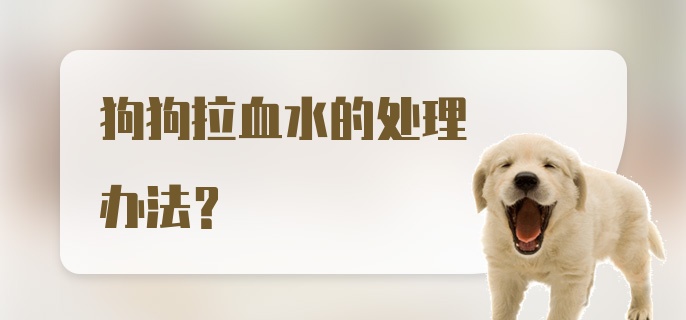 狗狗拉血水的处理办法？