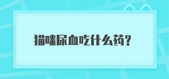 猫咪尿血吃什么药？