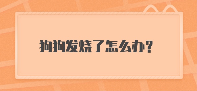 狗狗发烧了怎么办?