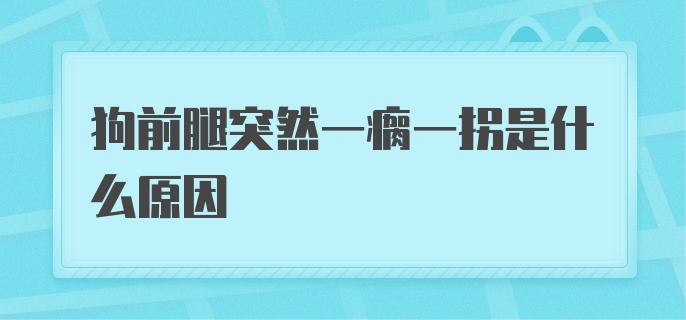 狗前腿突然一瘸一拐是什么原因