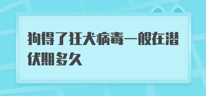 狗得了狂犬病毒一般在潜伏期多久