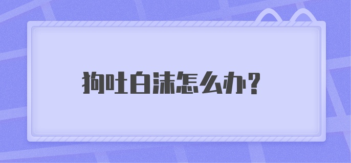 狗吐白沫怎么办？