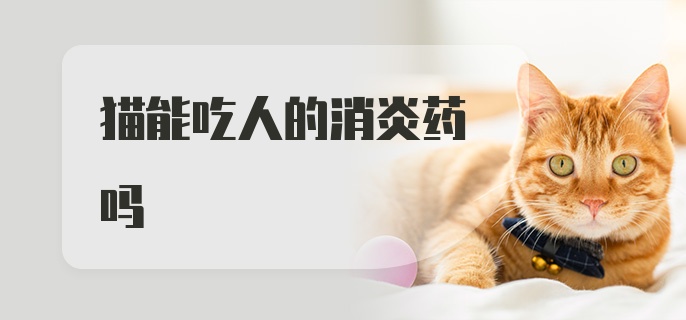 猫能吃人的消炎药吗