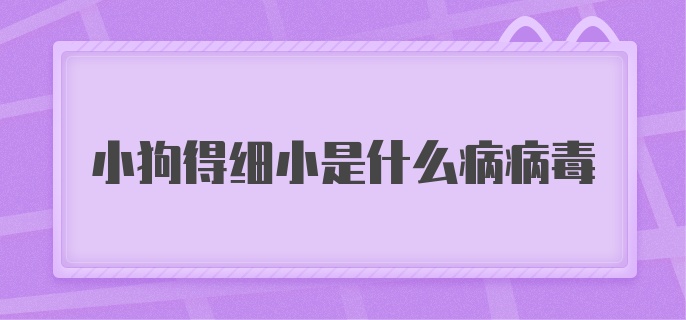 小狗得细小是什么病病毒