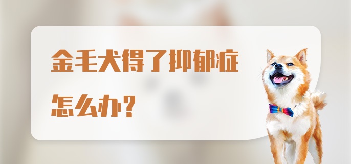 金毛犬得了抑郁症怎么办？